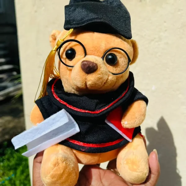 Graduation Teddy